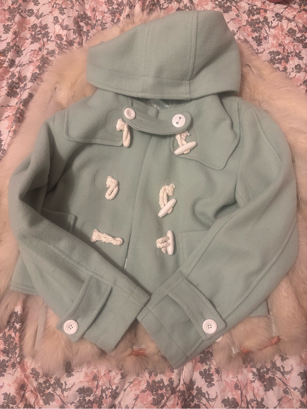 SHOUJO GIRL LIZ LISA Inspired Cropped Oversized Hooded Coat in Mint Green